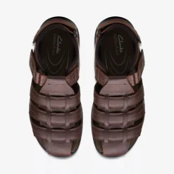Sale Clarks Walkford Fish Brown