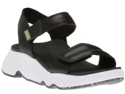 Hot Aetrex Whit Black